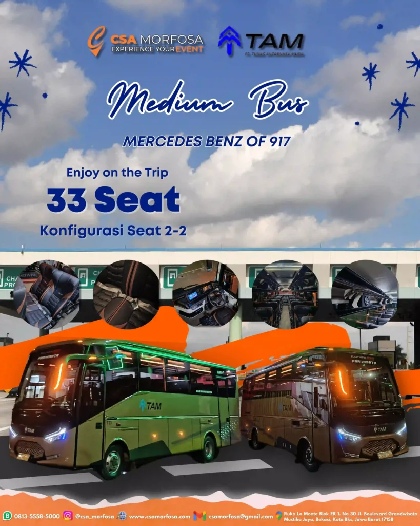MEDIUM BUS 33 SEAT